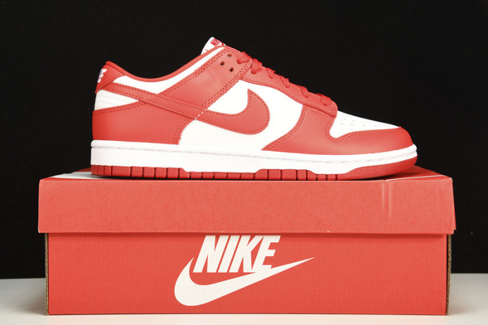 dunk low retro sp 