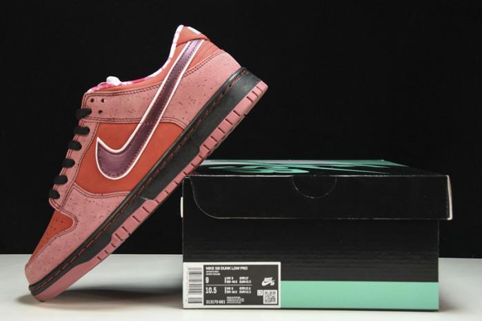 nike sb dunk low concepts red lobster 313170-661